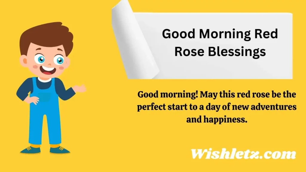 Good Morning Red Rose Blessings