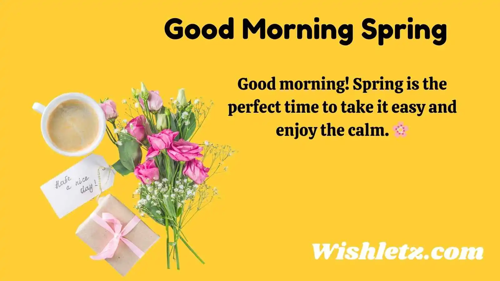 Good Morning Spring