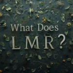 What Does LMR Mean