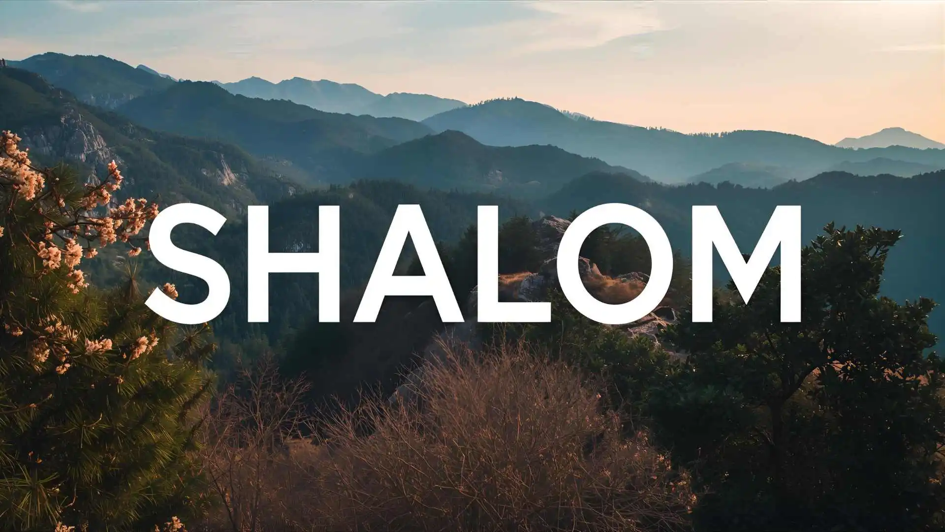 What Does Shalom Mean