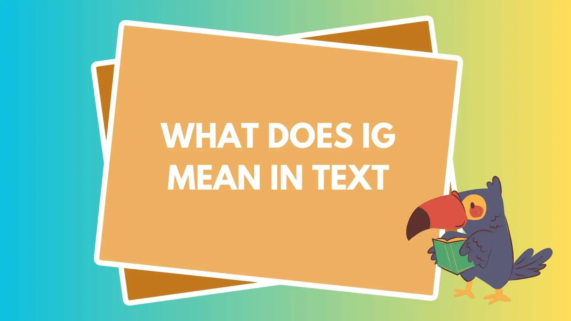 What Does IG Mean in Text
